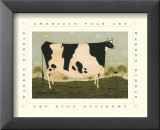 American Cow