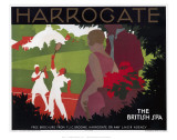 Harrogate  the British Spa