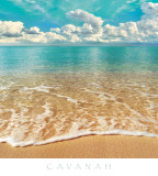 Low Tide