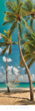 Hammock I