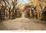 Central Park I