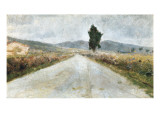 The Tuscan Road