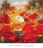 Meadow Poppies III