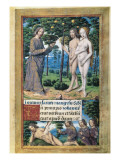 The Creation of Adam and Eve and Eve in the Paradise