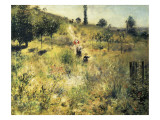 The Path Through the Long Grass
