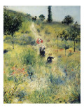 The Path Through the Long Grass