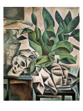 Still Life with Skull