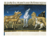 Stories of Saint Joachim  Saint Anne  Virgin Mary  Jesus  the Baptist and the End of the World