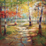 Birch Clearing