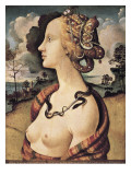 Portrait of Simonetta Vespucci