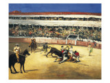 Bull Fight