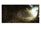 Jungle