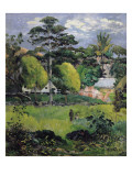 Landscape