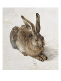 Hare