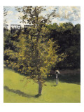 The Train in the Country
