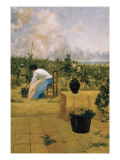 Grapeharvest in Sitges