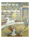 The Circus