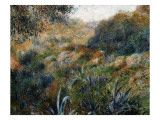 Algerian Landscape: the Ravine De La Femme Savage