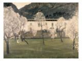 Lanscape with Flowered Almond Trees