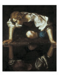 Narcissus