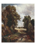 The Cornfield