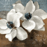 White Magnolias II