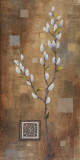 Willow Branch II