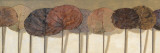 Leaves Show I
