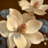 Blooming Magnolias I