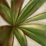 Abanico IV
