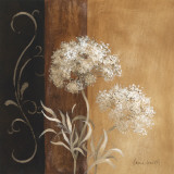Delicate Beauty I