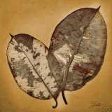 Beauty in Gold I