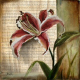 Vintage Studio I