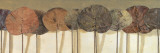 Leaves Show II