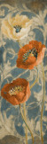 Poppies de Bleu II