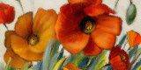 Poppy Splendor II