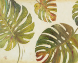 Organic II