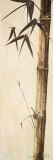 Sepia Guadua Bamboo II