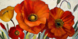 Poppy Splendor I