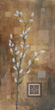 Willow Branch I