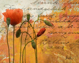 Poppies Composition I