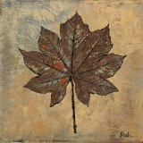 Maple III