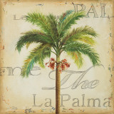 La Palma II