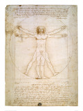 Vitruvian Man  c1492