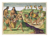 Collecting Food for the Communal Storehouse  from 'Brevis Narratio'  Engraved by Theodore De Bry