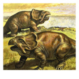 Protoceratops  Illustration from 'In the Days of the Dinosaurs  Discovery in the Desert'  1980