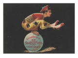 Advertisement for D S Brown and Co Soap Makers and Perfumers  New York  C1880