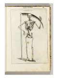 A Skeleton Holding a Scythe in the Style of a Grim Reaper