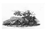 Man Seated by a Stunted Tree from 'History of British Birds and Quadrupeds'