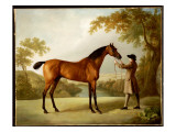 Tristram Shandy  a Bay Racehorse Held by a Groom in an Extensive Landscape  C1760